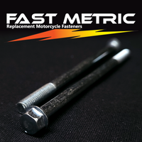 M6x100 flange bolt for metric motorcycles.
