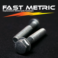 M6x28 flange bolt for metric motorcycles.