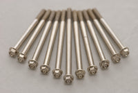 SPECIAL ORDER WORKS NICKEL ENGINE BOLT KIT