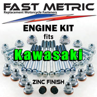 FACTORY STYLE ENGINE BOLT KIT FOR KAWASAKI 2-STROKE FULL SIZE BIKES