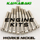 WORKS NICKEL ENGINE BOLT KIT FOR KAWASAKI 2-STROKE MINI BIKES